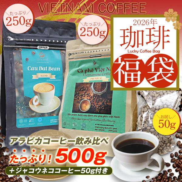 コーヒー 2026年福袋 クリスマスプレゼント アラビカコーヒー 500g
