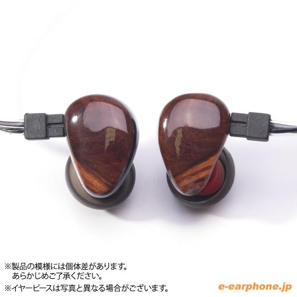 HEIR AUDIO (お取り寄せ) Heir Audio 4.Ai S カスタムIEMの高 HEIR AUDIO (お取り寄せ) Heir Audio 4.Ai S カスタムIEMの高
