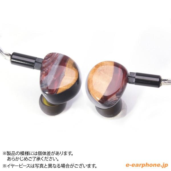 HEIR AUDIO (お取り寄せ) Heir Audio エア・オーディオ IEM 10.0 HEIR AUDIO (お取り寄せ) Heir Audio エア・オーディオ IEM 10.0