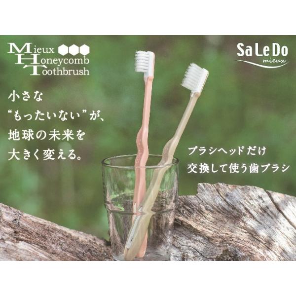 歯ブラシ　新サレド　ミューハニカム　替ブラシ２ヶ付　六角形　オーラルケア　歯科　エコ　ゴミ削減　SDGs　全国一律送料300円