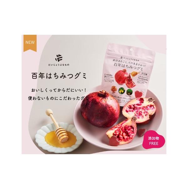 たかくら新産業 百年はちみつグミ ざくろ味 49g（14粒） ギルトフリー ビタミン ポリフェノール