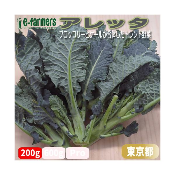 [Release date: December 15, 2023]2026年にブロッコリーが、国民生活にとって重要な「指定野菜」になります(農林水産省)。当店では東京のオシャレな新野菜として「アレッタ」をおすすめします。形はスティックセニョ...