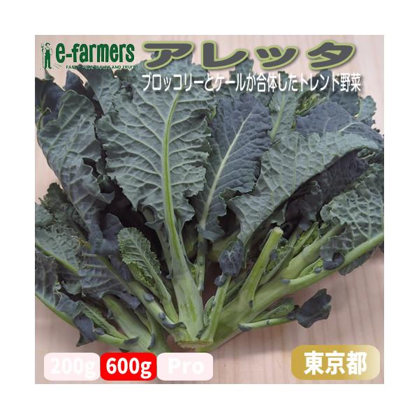 [Release date: December 15, 2023]2026年にブロッコリーが、国民生活にとって重要な「指定野菜」になるそうです(農林水産省)。当店では地元東京のオシャレな新野菜として「アレッタ」をおすすめします。形はスティッ...