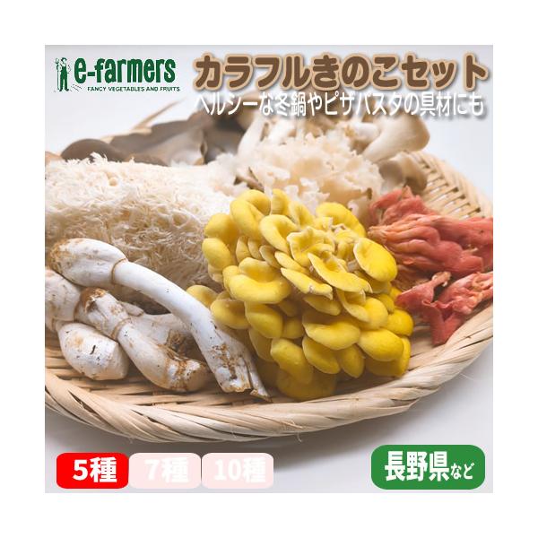およそ10年数々のきのこを集めてレストランの料理を飾ってきた経験を活かし、当店のおすすめきのこをセクションしました。いろんな食べ方でお楽しみいただけます。◆カラフルきのこセットＡ 5種のアソート下記の中から5種をお送りいたします。・たもぎ茸...