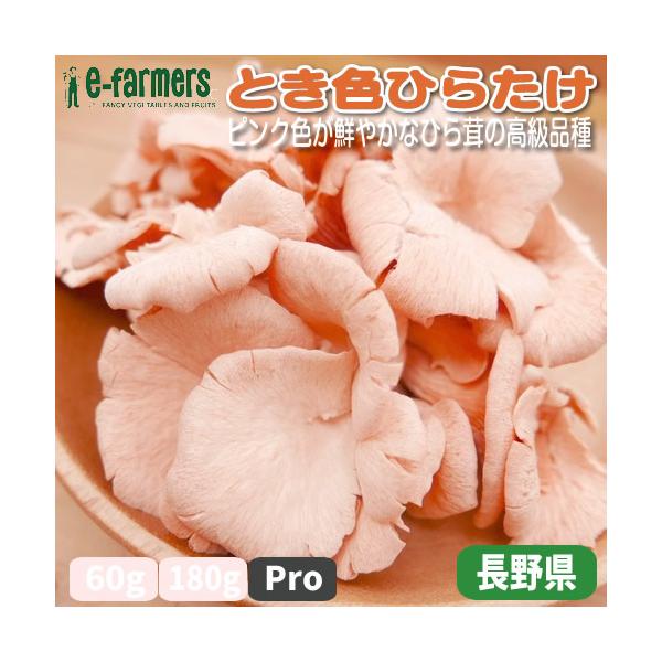 とき色ひらたけ Pro 送料無料 60gx10パックセット ピンク色が