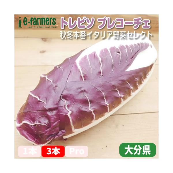 [Release date: November 4, 2023]ヴェネト州のトレビーソ付近で作られた赤いチコリの仲間をイタリア語でトレビーゾ・ラディッキオ・ロッソと言います。ラディッキオロッソには2種類あって、早生の物はプレコーチェと晩生の...