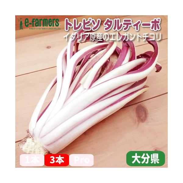 「トレビソタルティーボ」はヴェネト州のトレビーソ付近で作られた赤いチコリの仲間をイタリア語でトレビーゾ・ラディッキオ・ロッソと言います。2種類のラディッキオロッソの中で晩生の物がタルティーボと呼んでいます。日本でもまだまだ馴染みが薄く本場イ...