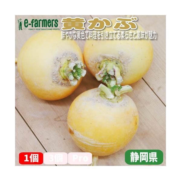 [Release date: January 1, 2024]黄かぶは、その鮮やかな黄色い外皮と甘みのある風味が魅力の伝統野菜です。柔らかい果肉は、煮物や漬物、サラダなどさまざまな料理に活用でき、食卓に彩りを添えます。特に、漬けることで甘さ...
