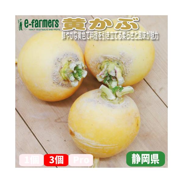 [Release date: January 1, 2024]黄かぶは、その鮮やかな黄色い外皮と甘みのある風味が魅力の伝統野菜です。柔らかい果肉は、煮物や漬物、サラダなどさまざまな料理に活用でき、食卓に彩りを添えます。特に、漬けることで甘さ...