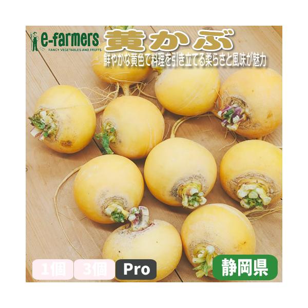 [Release date: January 1, 2024]黄かぶは、その鮮やかな黄色い外皮と甘みのある風味が魅力の伝統野菜です。柔らかい果肉は、煮物や漬物、サラダなどさまざまな料理に活用でき、食卓に彩りを添えます。特に、漬けることで甘さ...