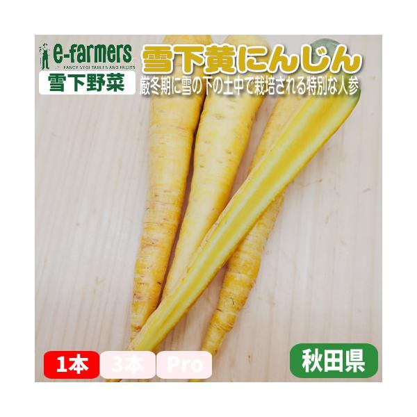 雪下人参は、厳冬期に土中で栽培される特別な人参で、その名の通り雪の下で育ちます。この栽培方法により、寒さから守られた人参は甘味が増し、より豊かな風味を持つようになります。雪下で育つことで、澄んだ水分と自然な糖分を蓄え、一般的な人参よりもみず...