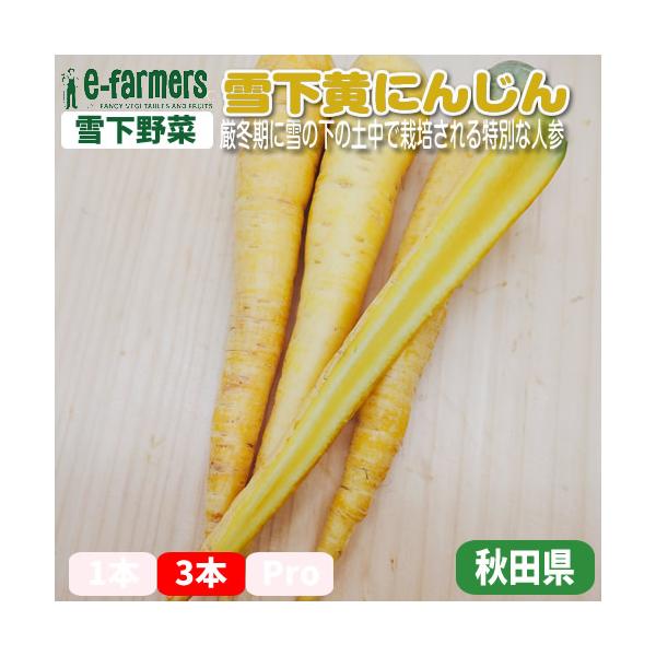 雪下人参は、厳冬期に土中で栽培される特別な人参で、その名の通り雪の下で育ちます。この栽培方法により、寒さから守られた人参は甘味が増し、より豊かな風味を持つようになります。雪下で育つことで、澄んだ水分と自然な糖分を蓄え、一般的な人参よりもみず...