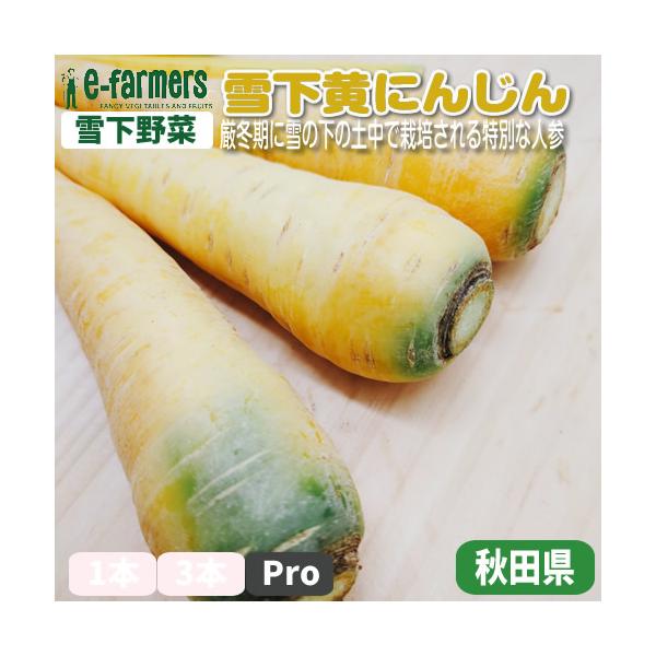 雪下人参は、厳冬期に土中で栽培される特別な人参で、その名の通り雪の下で育ちます。この栽培方法により、寒さから守られた人参は甘味が増し、より豊かな風味を持つようになります。雪下で育つことで、澄んだ水分と自然な糖分を蓄え、一般的な人参よりもみず...