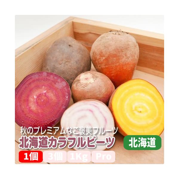 「食べる輸血」「奇跡の野菜」「スーパーフード」として栄養価値の高さを語られるビーツ、欧米では一般的な定番野菜です。ロシア料理のボルシチの材料などに使われる高級食材として君臨するデトロイトダークレットビーツ。近年ではパウダーやチップスなどで市...