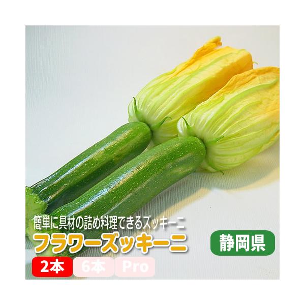 [Release date: May 16, 2024]珍しい、花つきのズッキーニ。なかなか出回らないので、市場で買い物客が取り合いを演じることもある人気食材です。爽やかな食感が、初夏をそのままいただくような明るさを食卓に運んでくれます。花...