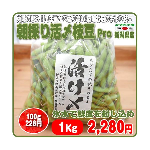 太陽の恵みたっぷりの風味豊かで香り高い 露地栽培の手作り枝豆朝採り活〆枝豆氷水で鮮度を封じ込めはつだるま１ｋｇ 新潟県産 代購幫