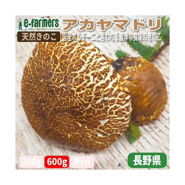 e-farmers_0rad206a
