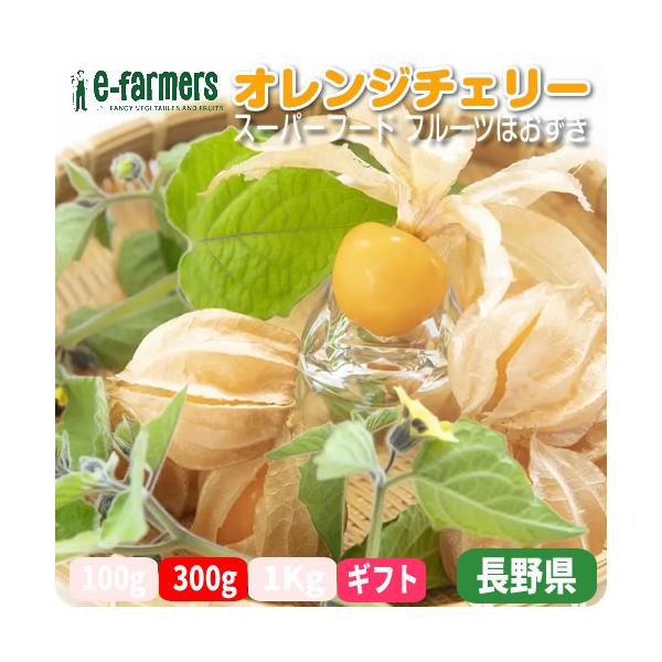 フルーツほおずき オレンジチェリー 24〜30粒 300g程度 注目の