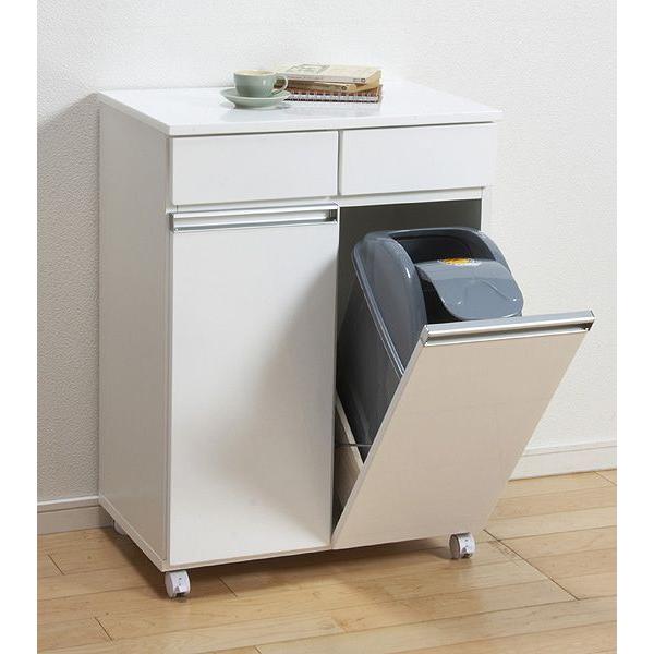 【新品・送料無料】【完成品】ダイニングダストボックス２Ｄ ダイニングダストボックス2D ごみ箱 2分別 台所用 生ごみ 背面