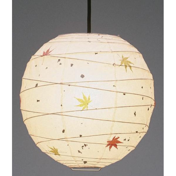 TP-12M݂ a30cm ay_gCg aƖ a V zCgX Zp {