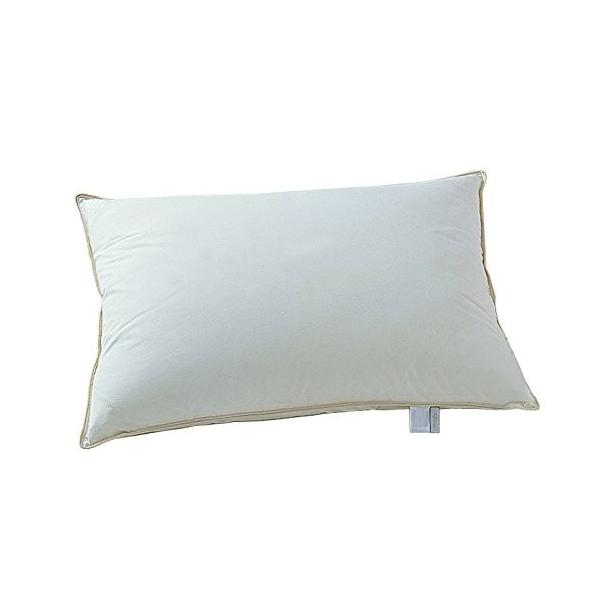 {xbh t[W _Es[ nC^Cv \tg}N ܂  ӂӂƂ Q