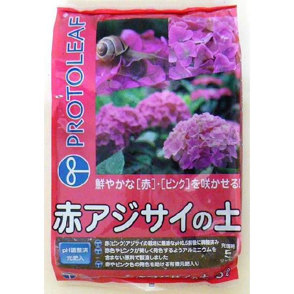 vg[t@ԃAWTC̓y@5bg@2