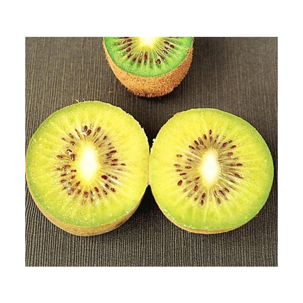 苗 キウイの人気商品 通販 価格比較 価格 Com