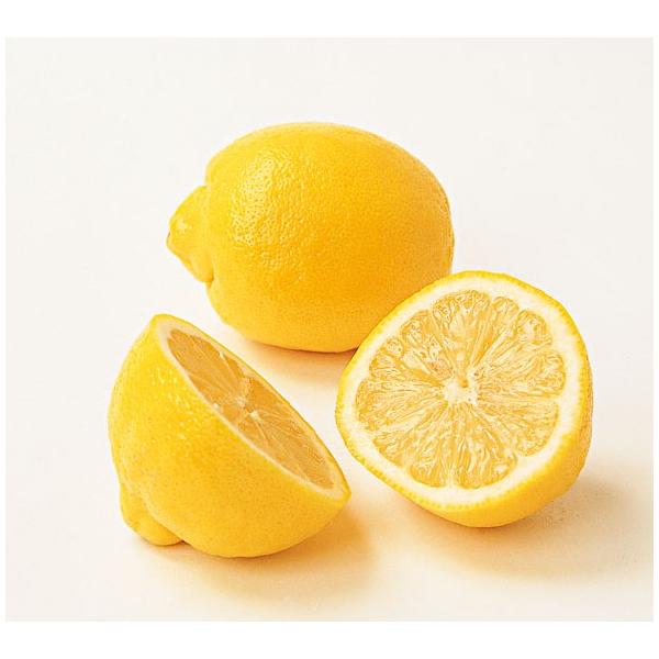 　「レモン　アレンユーレカ」は、「リスボン」よりも品質の良い大実種。果重150g位。アメリカのカルフォルニア州で実取り用に栽培されております。〔　商品性状につきまして　〕　●ミカン科の常緑低木　　2〜3m位に育ちます。　●開花期　　5〜6月...