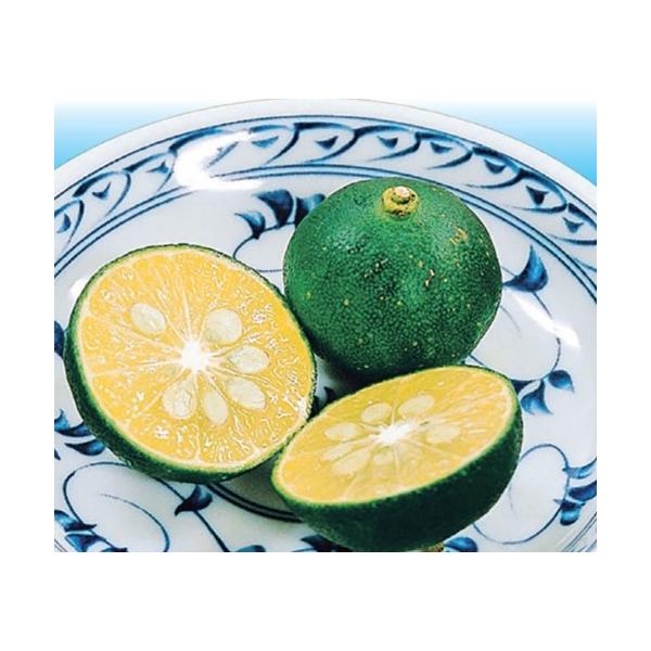 　「シークワサー」は、沖縄〜台湾原産のカンキツ。　果重25ｇ前後。　香りと酸味が強く、脂肪燃焼・肝機能改善などの機能性食品として注目されています。〔　商品性状につきまして　〕　●ミカン科の常緑高木　　3〜5m位に育ちます。　●開花期　　5〜...