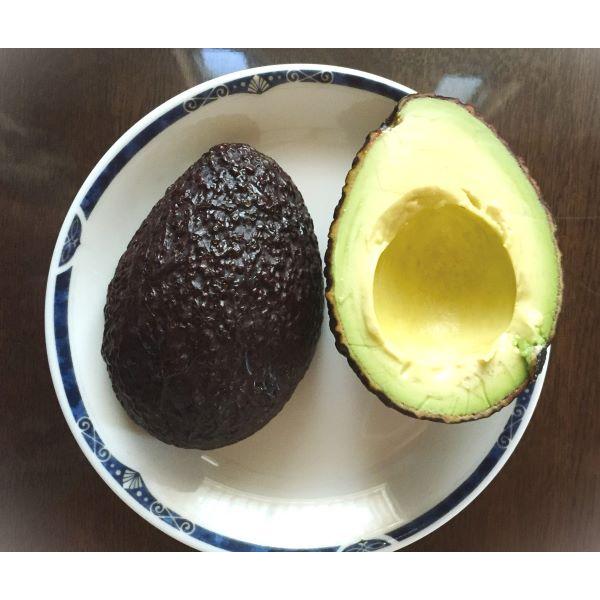 くろ❸アボカド（ベーコン）接木苗 B型）アボカド ベーコン 接木5号 1本（受注発注） : e-フラワー - 通販