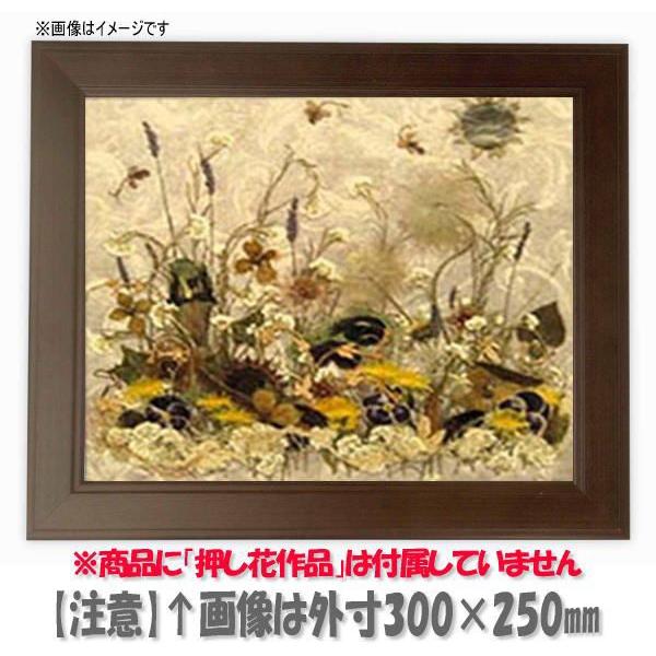 額縁 フレーム 押し花用額縁 130型 押し花6号サイズ 418 280mm Os A Oshibana 130 6go 額縁専門店ないとう 通販 Yahoo ショッピング