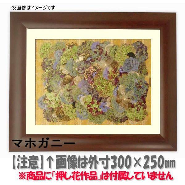 Ԋz 433/}zKj[ 21zi201×151mmjyosbn-Cz Hiɂ̃LZEԕis