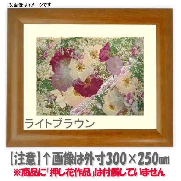 Ԋz 5021/ 21zi201×151mmjyosbn-Cz Hiɂ̃LZEԕis