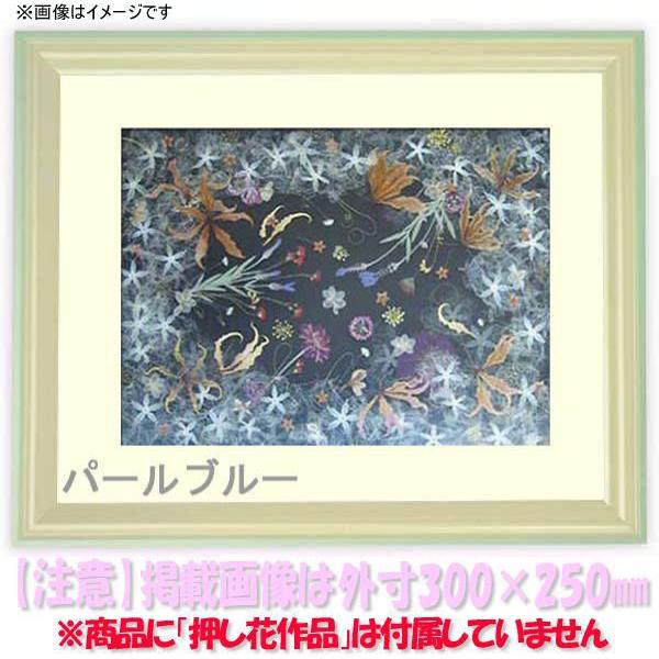 額縁 フレーム 押し花用額縁 5654 パールブルー 49額サイズ 485 395mm Os C Oshibana 5654 Pb 49 自社工房の額縁専門店ないとう 通販 Yahoo ショッピング