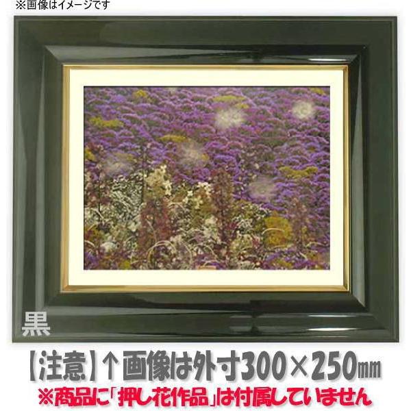 生まれのブランドで 額縁 L60額サイズ 602 302mm Os C 681 黒 押し花用額縁 フレーム 額縁 アート インテリア フレーム 押し花道具 材料 Zinziraup Com