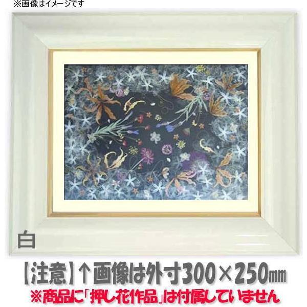 Ԋz 681/ 49zi485×395mmjyosbn-Cz Hiɂ̃LZEԕis