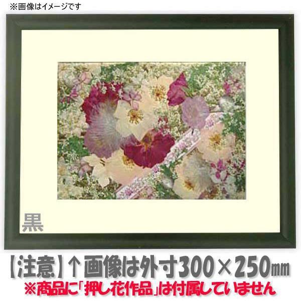 Ԋz 713/ 49zi485×395mmjyosbn-Cz Hiɂ̃LZEԕis