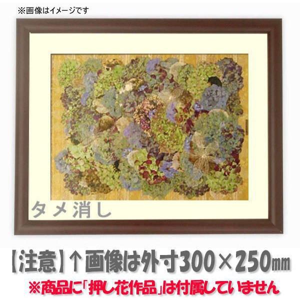 Ԋz 713/^c 36zi360×290mmjyosbn-Cz Hiɂ̃LZEԕis