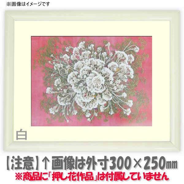 押し花額縁 713/白 36額（360×290mm）【osbn-C】 ※特殊加工品