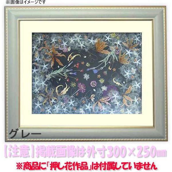 額縁 フレーム 押し花用額縁 9614 グレー 26額サイズ 263 213mm Os C Oshibana 9500 Gra 26 自社工房の額縁専門店ないとう 通販 Yahoo ショッピング
