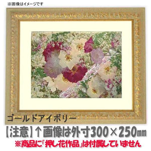 Ԋz 9569/GAC{[ 21zi201×151mmjyosbn-Cz Hiɂ̃LZEԕis