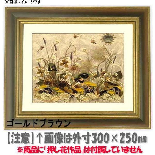 Ԋz 9573/GuE 49zi485×395mmjyosbn-Cz Hiɂ̃LZEԕis