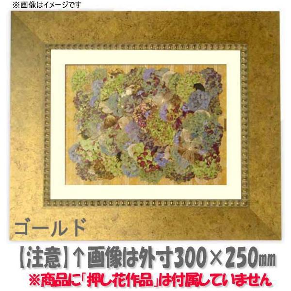 Ԋz HQ869/S[h 18zi180×130mmjyosbn-Cz Hiɂ̃LZEԕis