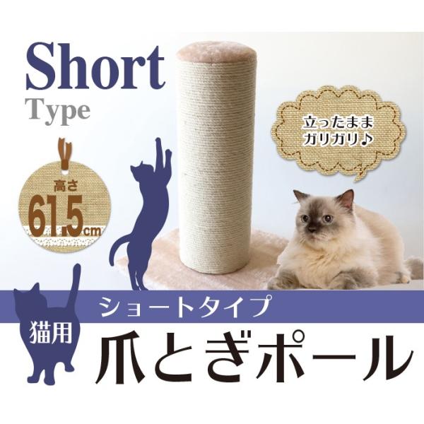 ねこさん専用 C マルカン THE・PERFECT ONE 水素サーバー セラミック