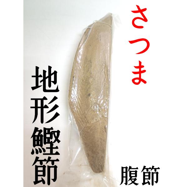 【枕崎産】地形節（薩摩形）腹節一本
