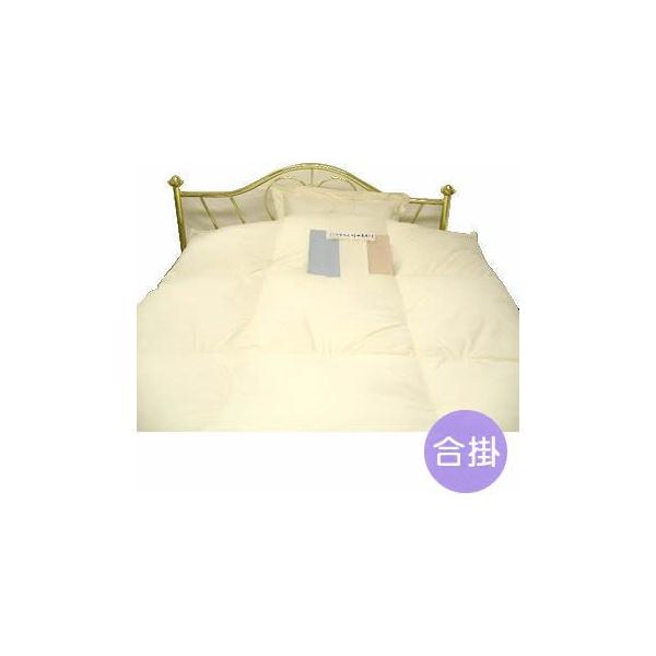 nCubh|[h}U[O[XHэ|ӂƂ _uTCY