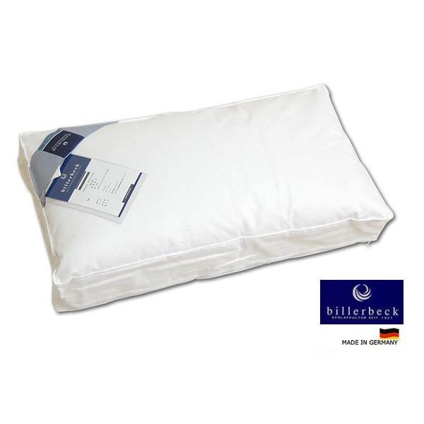 billerbeckrxbN _EebNXu_EibNXvDAUNALEX