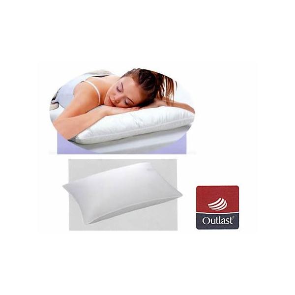 DOWN PILLOW AEgXgEv[X[p[ ^M(43×63)