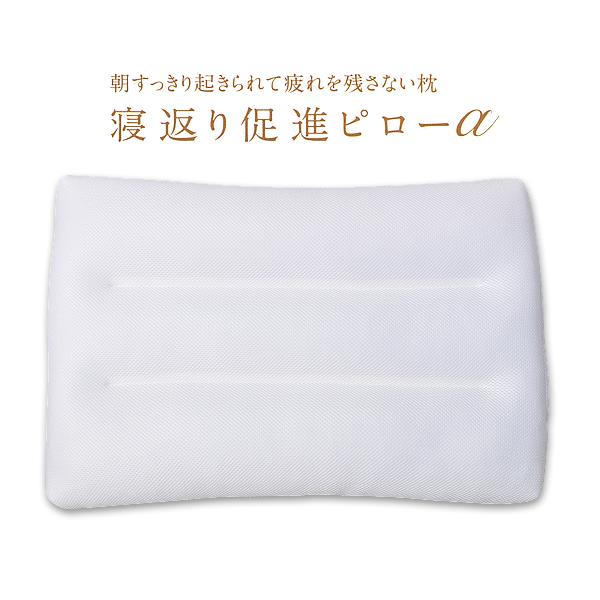 QԂ董is[ ()@fBJNV[Y