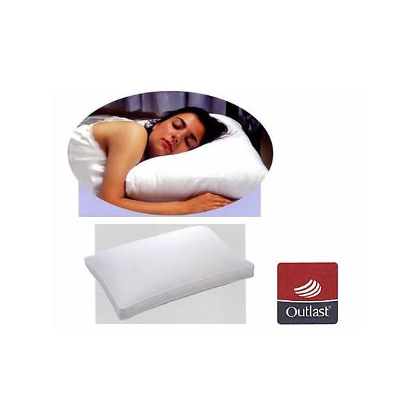 DOWN PILLOW AEgXgETChX[p[ ^L(50×70)